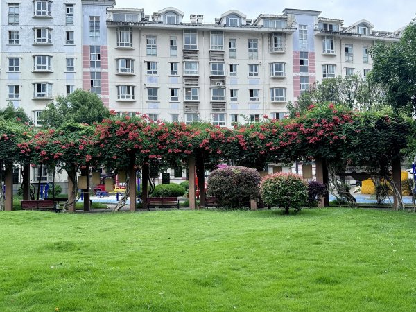 凤凰彩票中国官网入口 物业费0.8元/粗浅米, 清楚24年未加价, 武汉这个矿藏小区二手房价远超邻近新楼盘