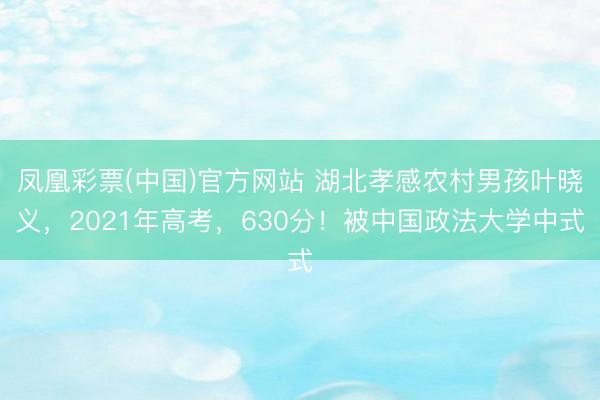 凤凰彩票(中国)官方网站 湖北孝感农村男孩叶晓义,2021年高考,630分!被中国政法大学中式