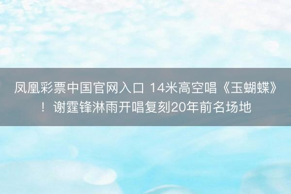 凤凰彩票中国官网入口 14米高空唱《玉蝴蝶》!谢霆锋淋雨开唱复刻20年前名场地