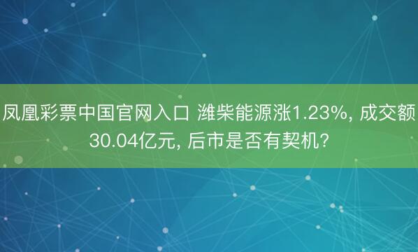 凤凰彩票中国官网入口 潍柴能源涨1.23%， 成交额30.04亿元， 后市是否有契机?